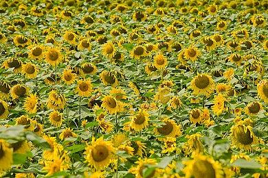 《如龙：维新!极》“复仇之刃”预告 全新截图欣赏